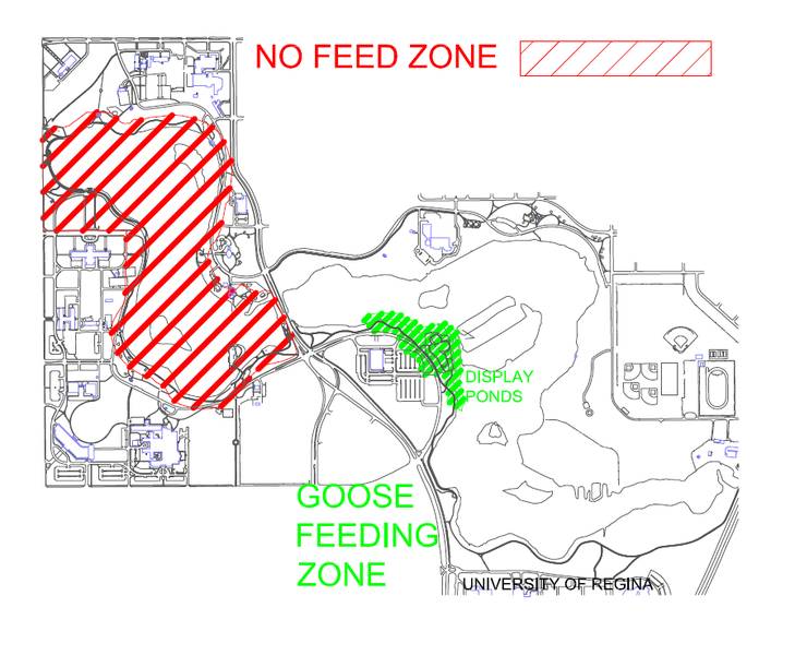 File:Goose Map.jpg